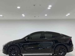 Tesla Model Y Standard Range Edition - фото 3