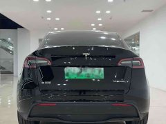 Tesla Model Y Standard Range Edition - фото 4