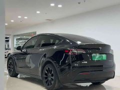 Tesla Model Y Standard Range Edition - фото 5