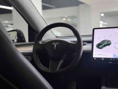 Tesla Model Y Standard Range Edition - фото 6