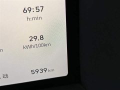 Tank 300 Hi4-T 37.1kWh - фото 13