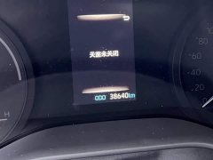 Tank SIENNA 2.5LPHEV Edition - фото 13