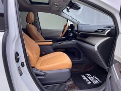 Tank SIENNA 2.5LPHEV Edition - фото 17