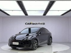 Tesla Model Y Long Range Edition - фото 1