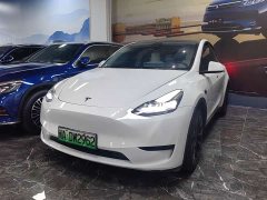 Tesla Model Y Edition - фото 1