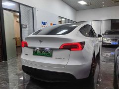 Tesla Model Y Edition - фото 4