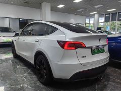 Tesla Model Y Edition - фото 6