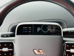 Li Auto L9 Pro - фото 19
