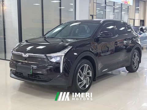 2022 Neta U Pro 500 Edition - автомобиль из Китая