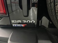 Tank 300 Hi4-T 36.7kWh - фото 14