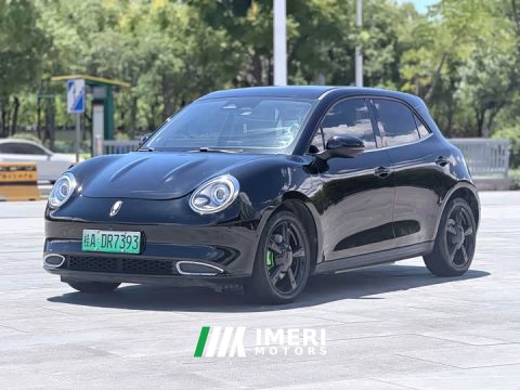 2021 Ora 400kmStandard Range Edition - автомобиль из Китая