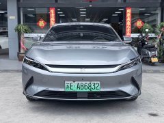 BYD EV Standard Range EditionLuxury Version - фото 2