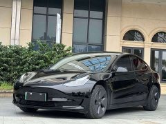 Tesla Model 3 Edition - фото 1