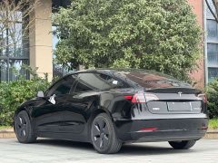 Tesla Model 3 Edition - фото 10