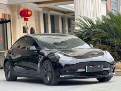 Tesla Model 3 Edition - фото 3