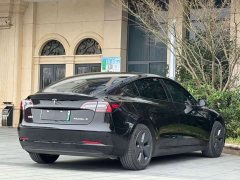 Tesla Model 3 Edition - фото 8