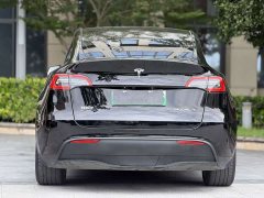 Tesla Model Y Edition - фото 10