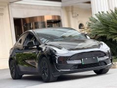 Tesla Model Y Edition - фото 3