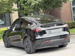Tesla Model Y Edition - фото 8