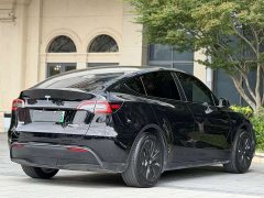 Tesla Model Y Edition - фото 9
