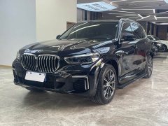 BMW X5 xDrive 30Li Deluxe VersionM - фото 1