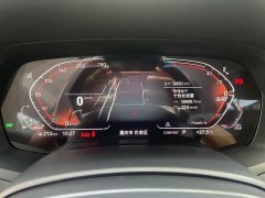 BMW X5 xDrive 30Li Deluxe VersionM - фото 18