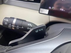 BYD PLUS EV Smart Drive Edition 420KM Version - фото 20