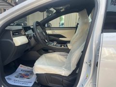 BYD PLUS EV Smart Drive Edition 420KM Version - фото 9