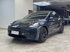 Tesla Model Y Long Range Edition - фото 1