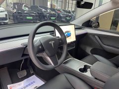 Tesla Model Y Long Range Edition - фото 11