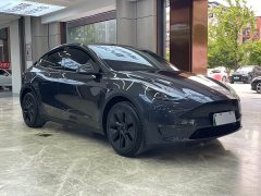 Tesla Model Y Long Range Edition - фото 3