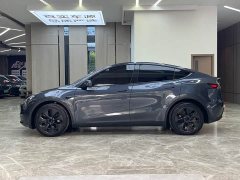 Tesla Model Y Long Range Edition - фото 4