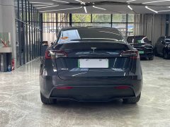 Tesla Model Y Long Range Edition - фото 6