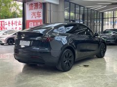 Tesla Model Y Long Range Edition - фото 7