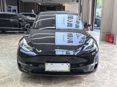 Tesla Model Y Long Range Edition 3D7 - фото 2
