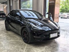 Tesla Model Y Long Range Edition 3D7 - фото 3