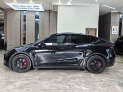 Tesla Model Y Long Range Edition 3D7 - фото 4