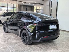 Tesla Model Y Long Range Edition 3D7 - фото 5