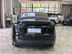 Tesla Model Y Long Range Edition 3D7 - фото 6