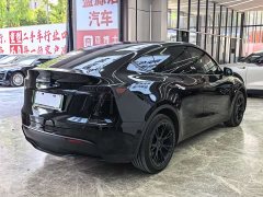 Tesla Model Y Long Range Edition 3D7 - фото 7