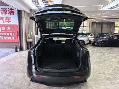 Tesla Model Y Long Range Edition 3D7 - фото 8