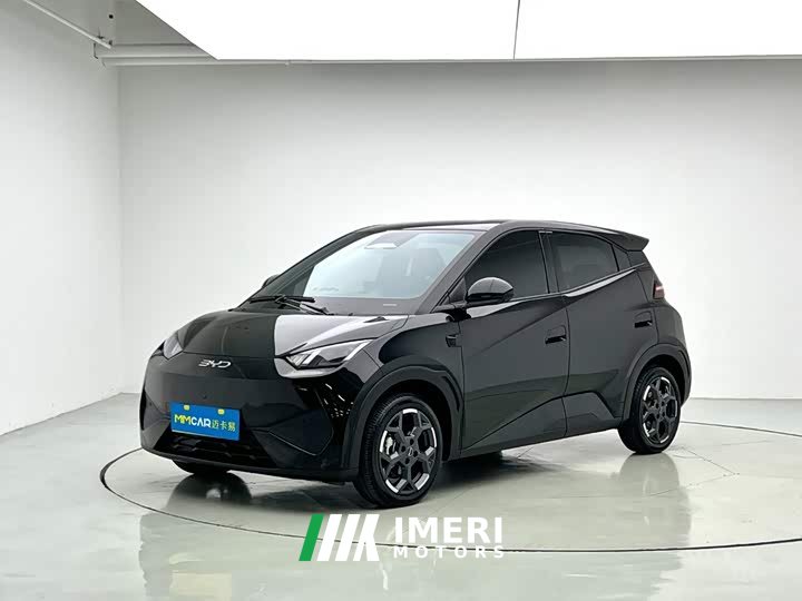 BYD Smart Drive Edition 305km Edition - автомобиль из Китая