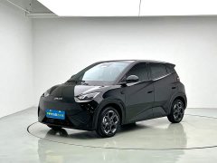 BYD Smart Drive Edition 305km Edition - фото 1