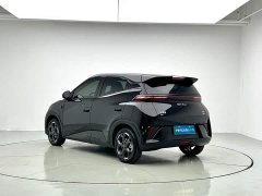 BYD Smart Drive Edition 305km Edition - фото 4