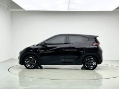 BYD Smart Drive Edition 305km Edition - фото 9