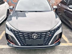 BYD PLUS NE 1.4T GDI DCT Edition - фото 2