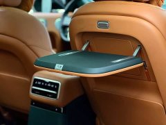 Li Auto L9 Max - фото 13