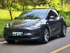 Tesla Model Y Edition - фото 1