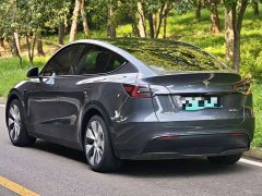 Tesla Model Y Edition - фото 5