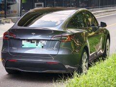 Tesla Model Y Edition - фото 6